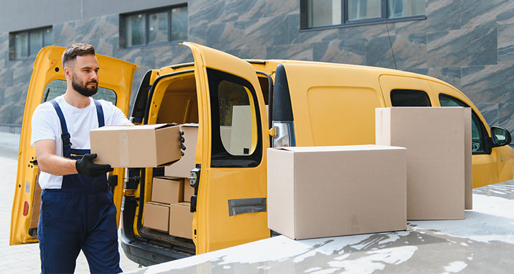 Trasnporte terrestre